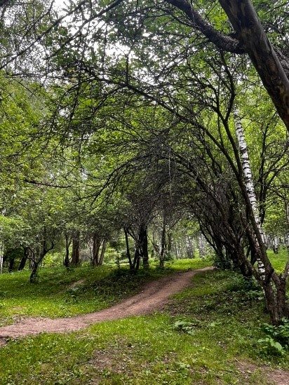 "Алтын күн"жазғы лагері. Летний лагерь "Алтын күн"