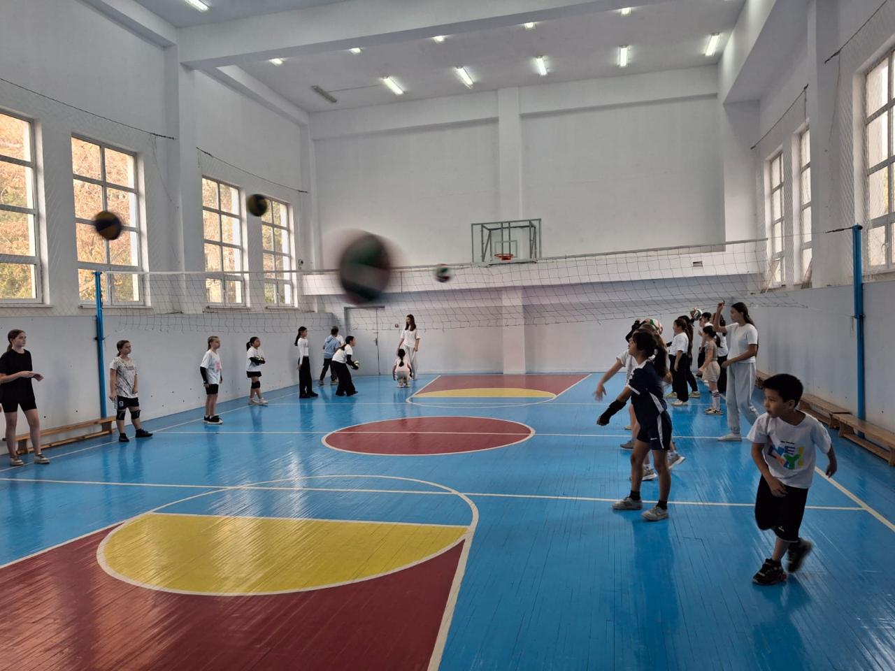 Волейбол в школе